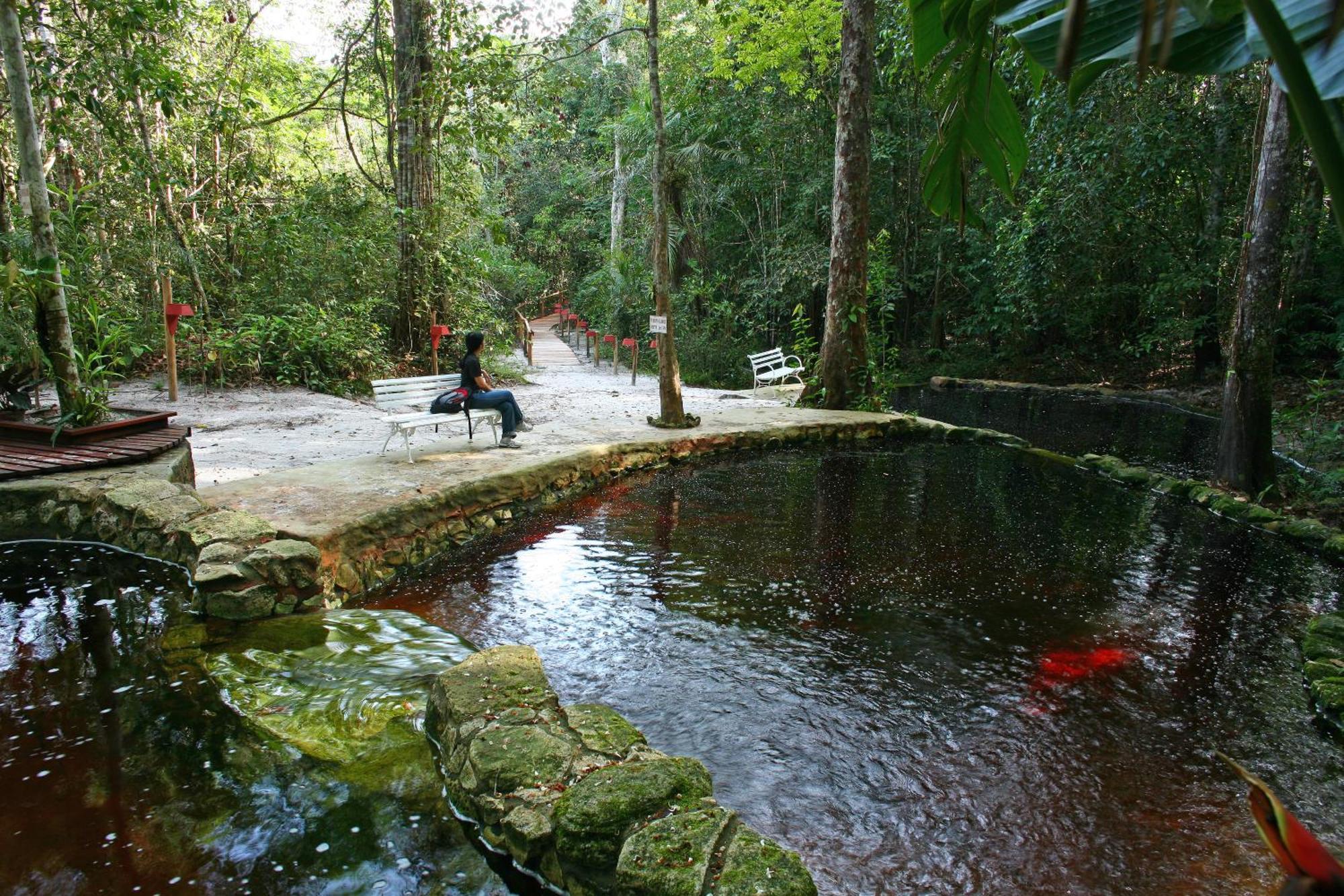 Amazon Ecopark Jungle Lodge Manaus Bagian luar foto