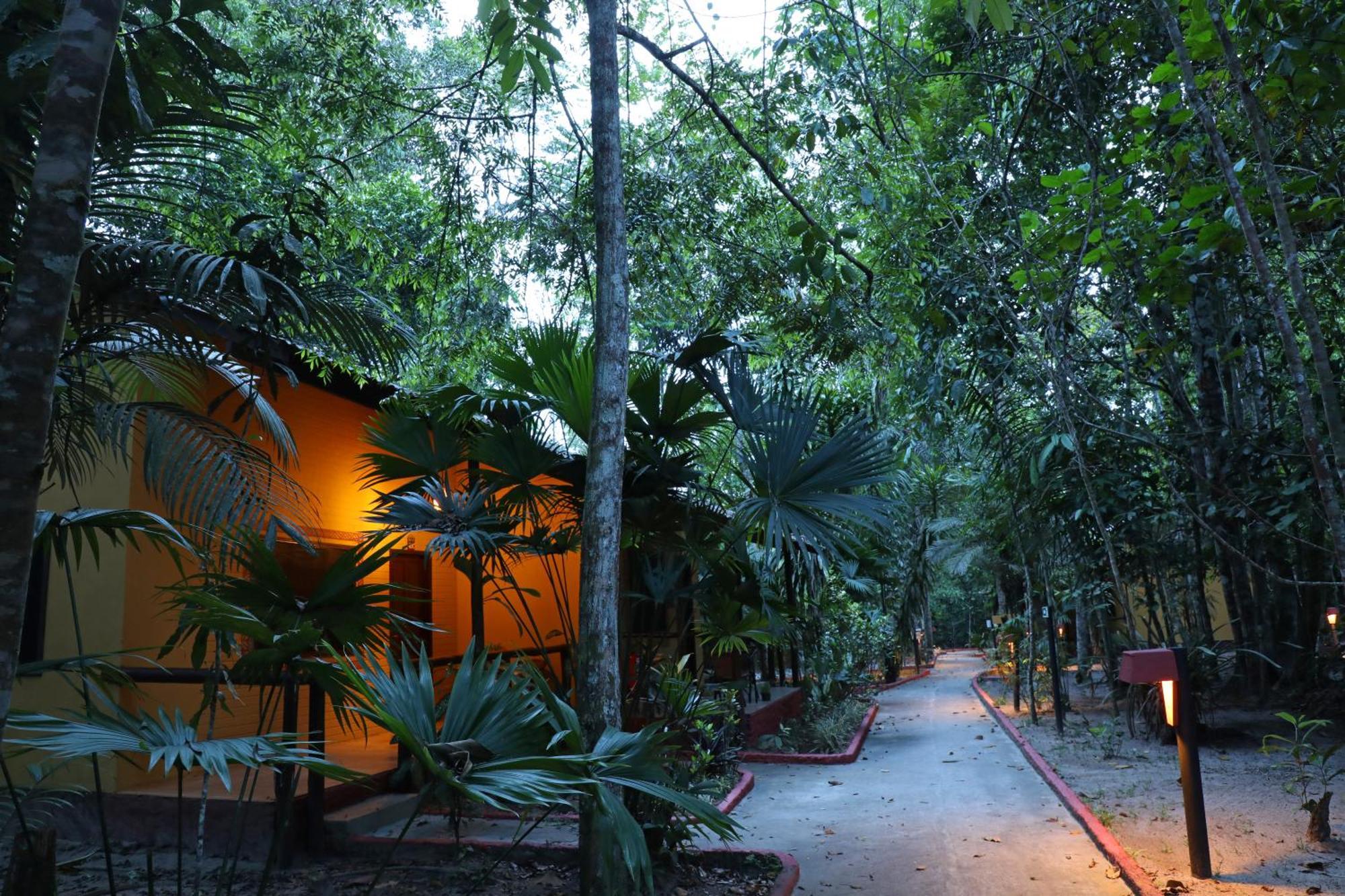 Amazon Ecopark Jungle Lodge Manaus Bagian luar foto