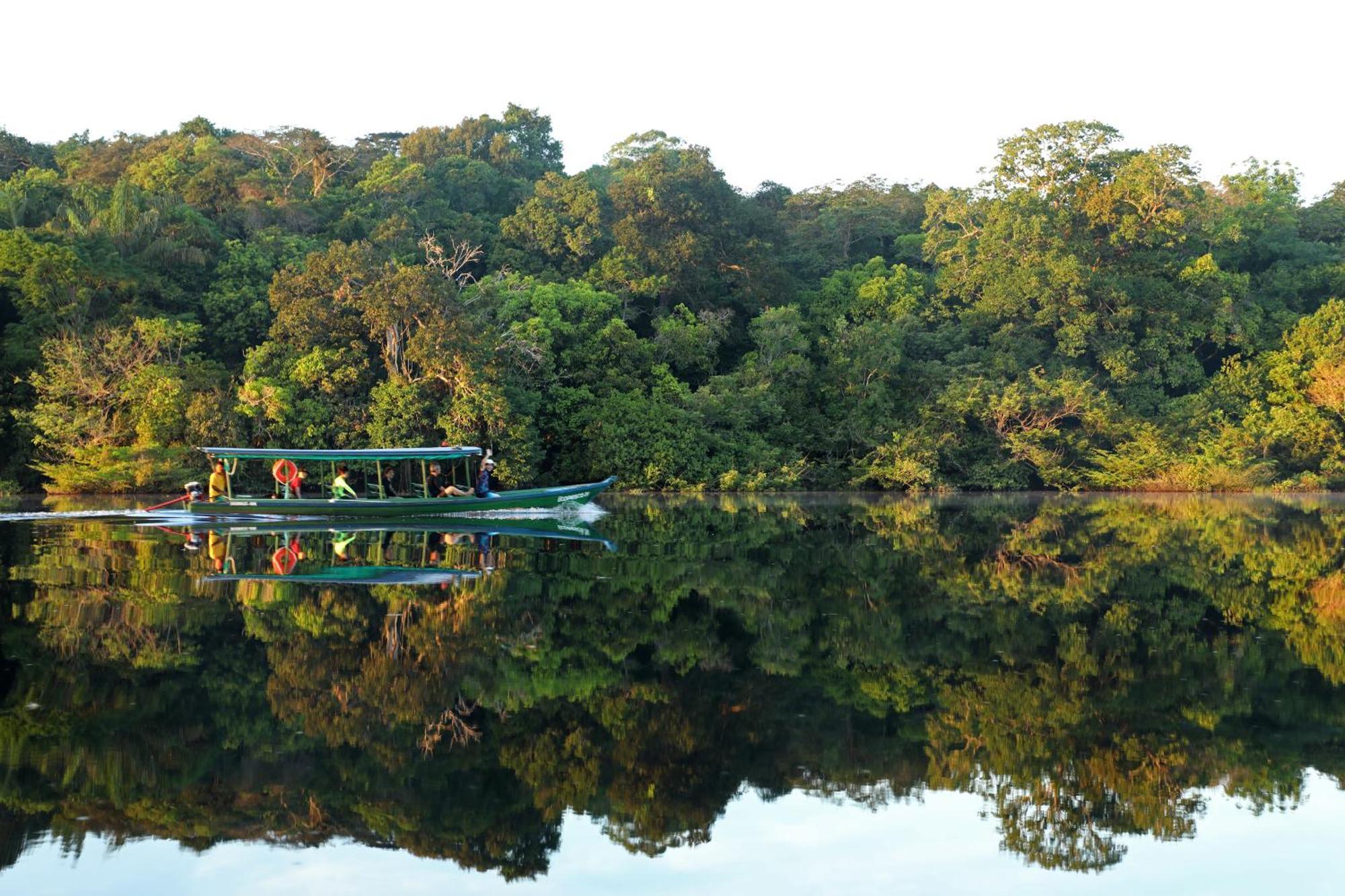 Amazon Ecopark Jungle Lodge Manaus Bagian luar foto